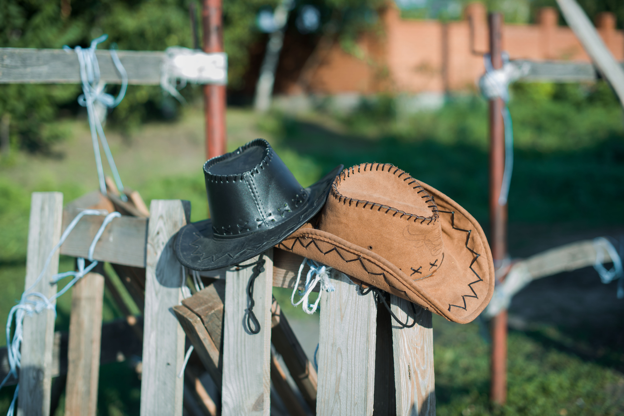 Dodatki za ograje so odlična popestritev